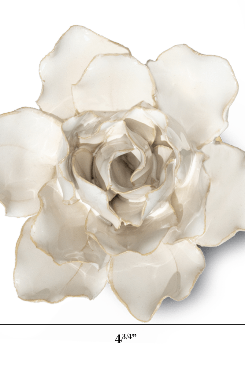 CO11 Ivory Stargazer Lily - Chive US Wholesale