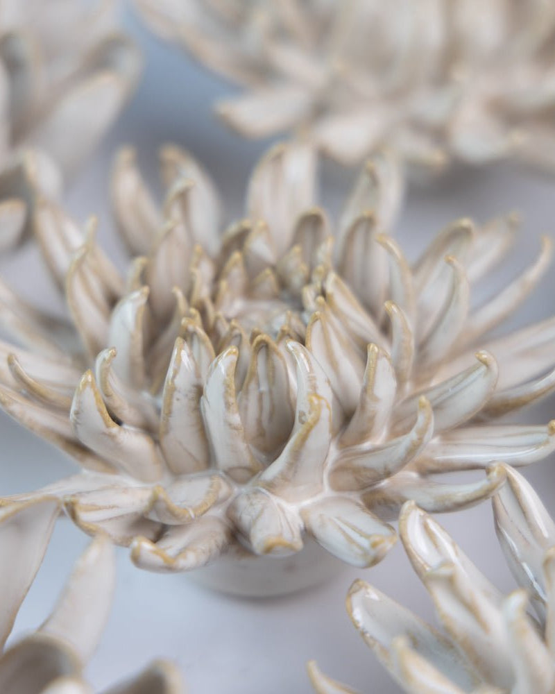 Ceramic Flower Coastal Curated Collection #5 - Chive US Wholesale
