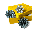 Ceramic Flower Fiore Box Set - Chive US Wholesale