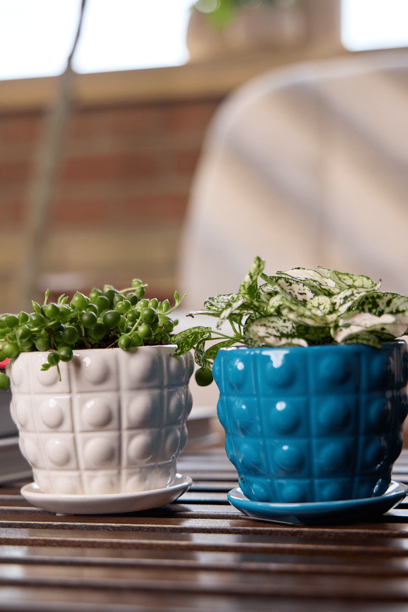 Convex Ceramic Pot With Drainage Hole And Saucer - Chive US Wholesale