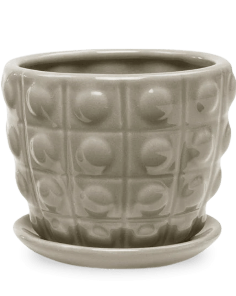 Convex Ceramic Pot With Drainage Hole And Saucer - Chive US Wholesale