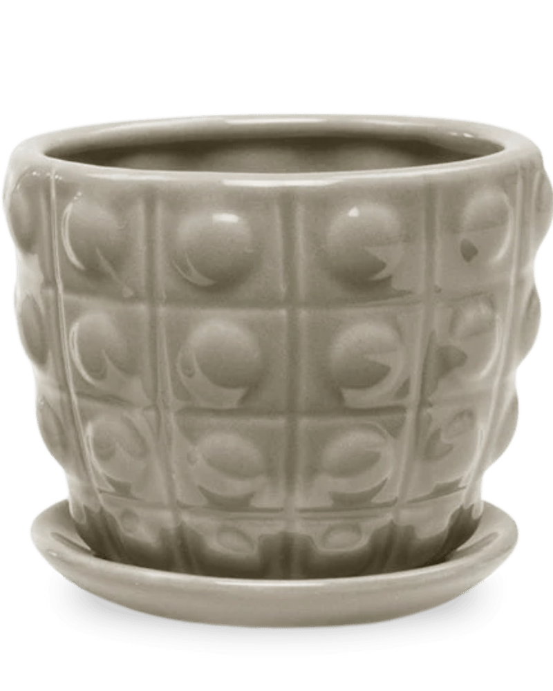 Convex Ceramic Pot With Drainage Hole And Saucer - Chive US Wholesale