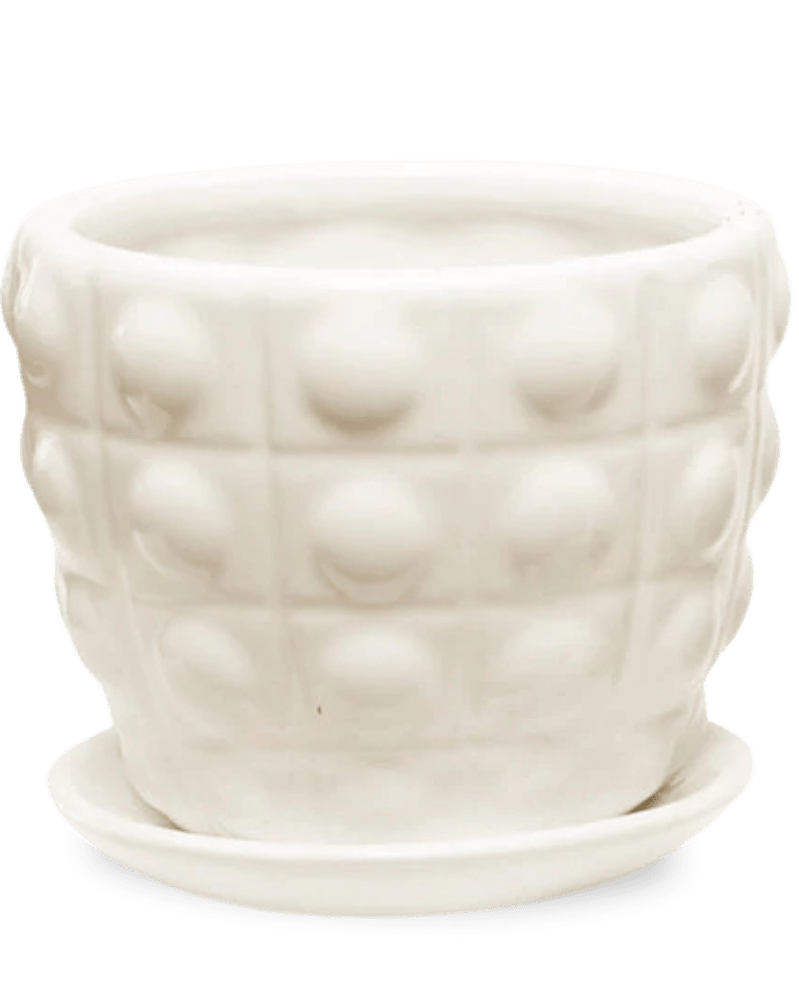 Convex Ceramic Pot With Drainage Hole And Saucer - Chive US Wholesale