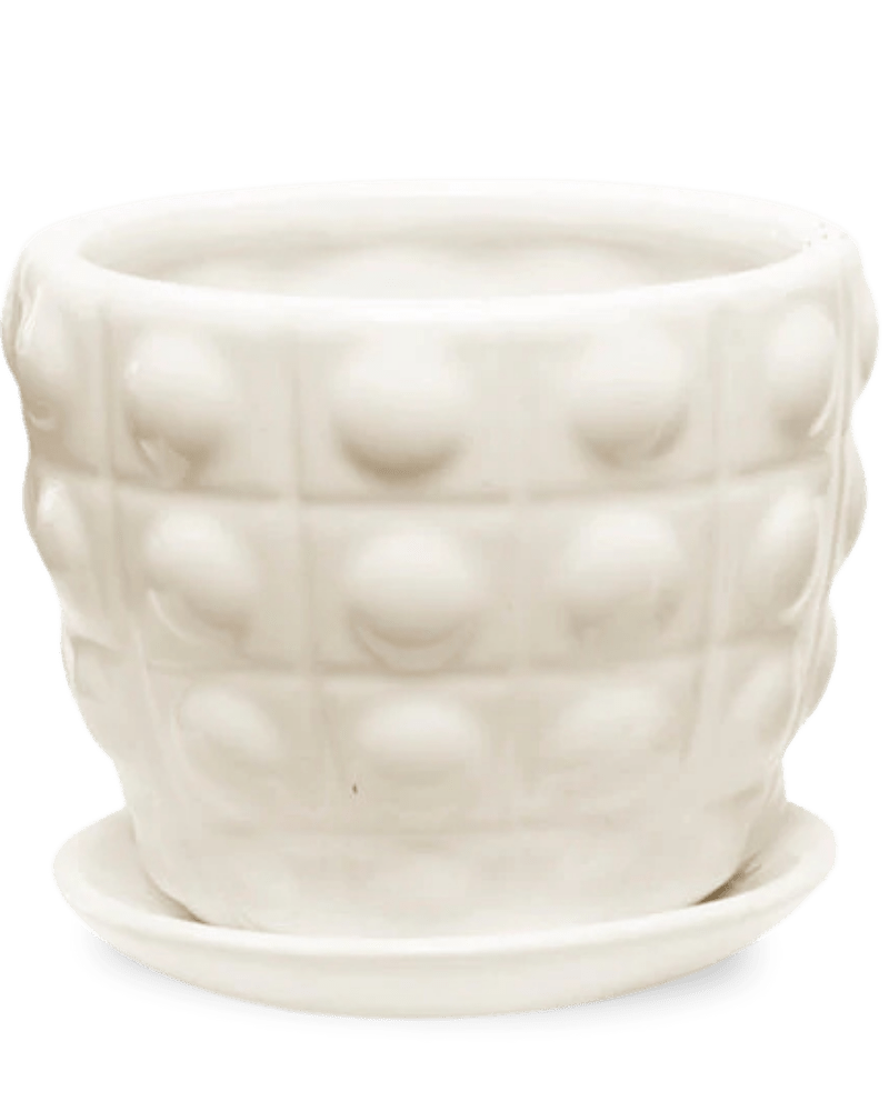 Convex Ceramic Pot With Drainage Hole And Saucer - Chive US Wholesale