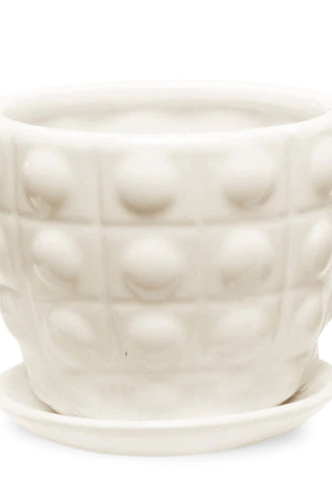 Convex Ceramic Pot With Drainage Hole And Saucer - Chive US Wholesale