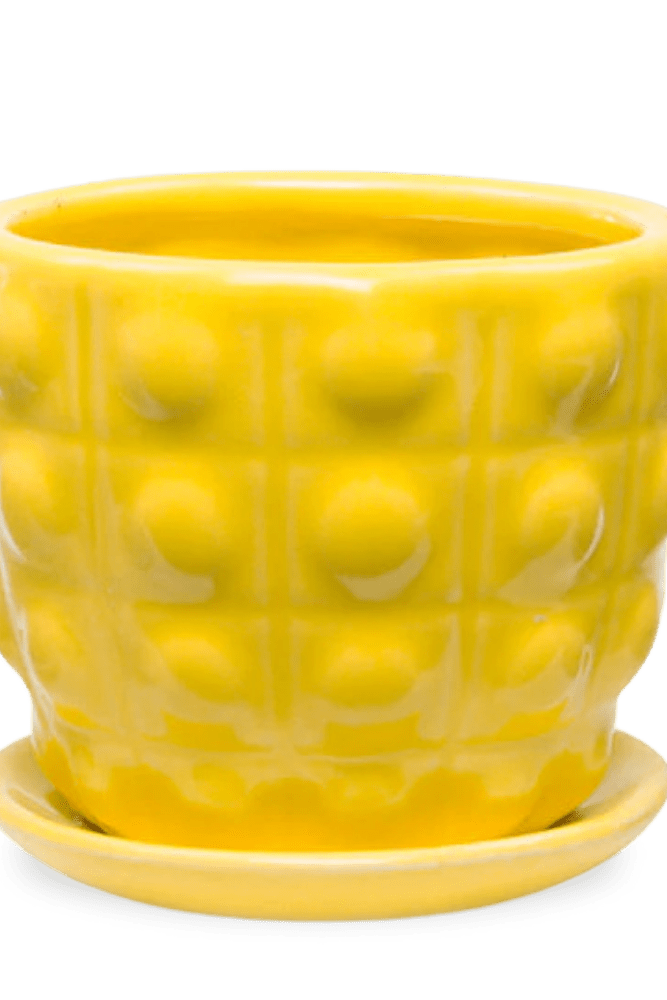 Convex Ceramic Pot With Drainage Hole And Saucer - Chive US Wholesale