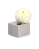 Cube Ceramic Flower Vase - Chive US Wholesale