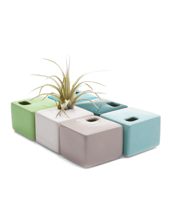 Cube Ceramic Flower Vase - Chive US Wholesale