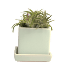 Cube & Saucer Ceramic Pot With Drainage Hole - Chive US Wholesale