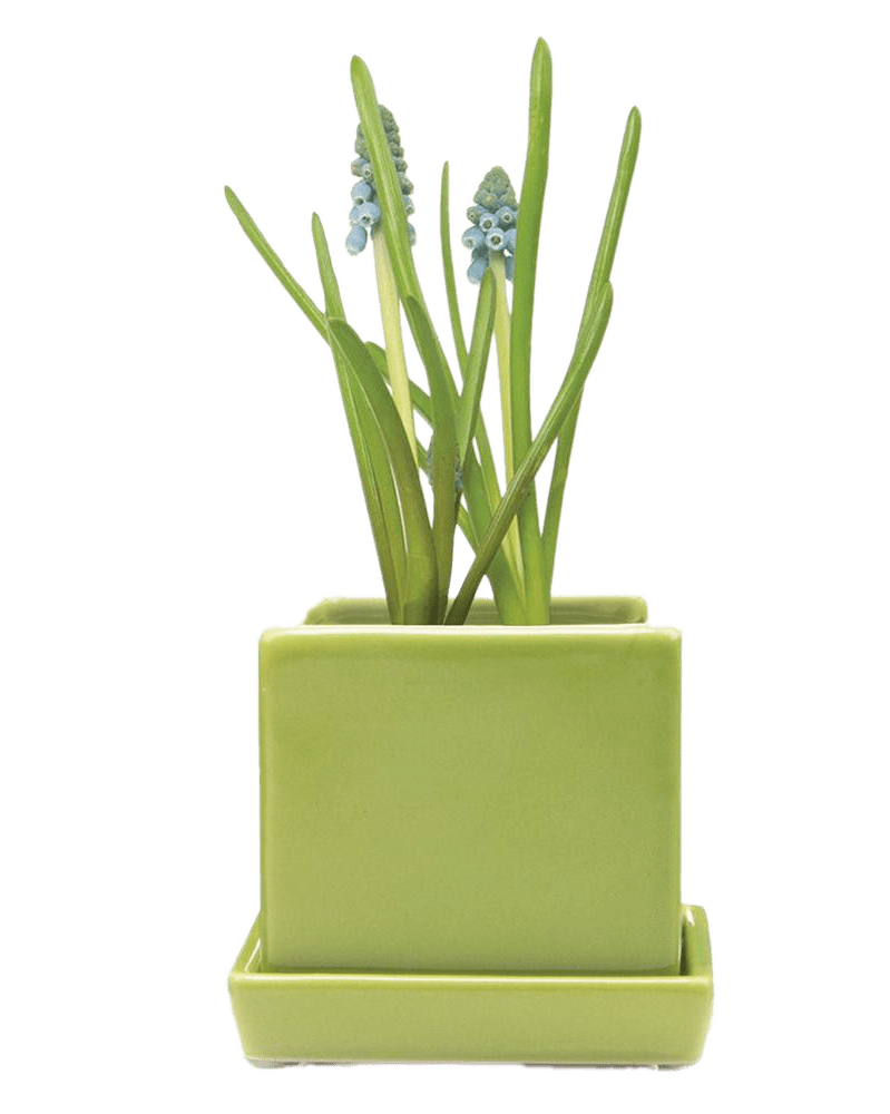 Cube & Saucer Ceramic Pot With Drainage Hole - Chive US Wholesale