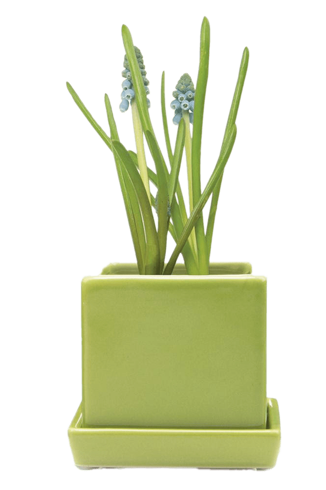 Cube & Saucer Ceramic Pot With Drainage Hole - Chive US Wholesale