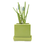 Cube & Saucer Ceramic Pot With Drainage Hole - Chive US Wholesale