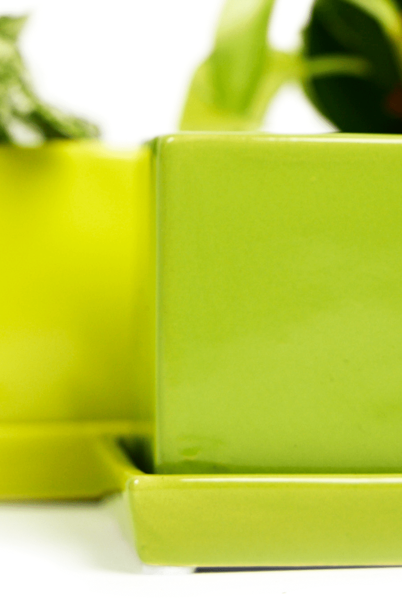 Cube & Saucer Ceramic Pot With Drainage Hole - Chive US Wholesale