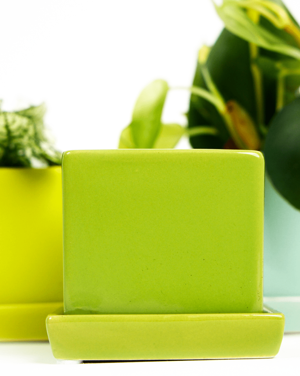 Cube & Saucer Ceramic Pot With Drainage Hole - Chive US Wholesale