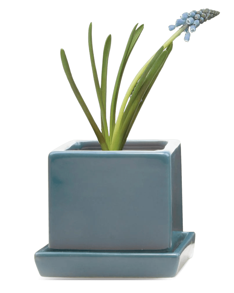 Cube & Saucer Ceramic Pot With Drainage Hole - Chive US Wholesale