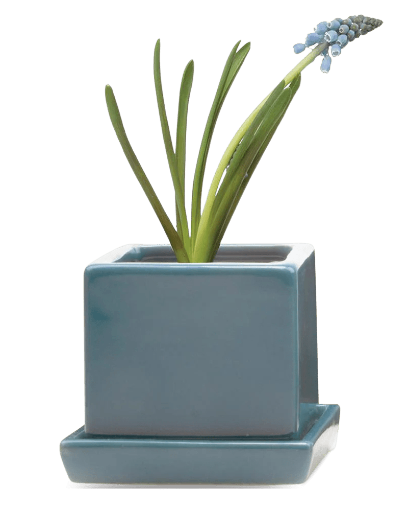 Cube & Saucer Ceramic Pot With Drainage Hole - Chive US Wholesale