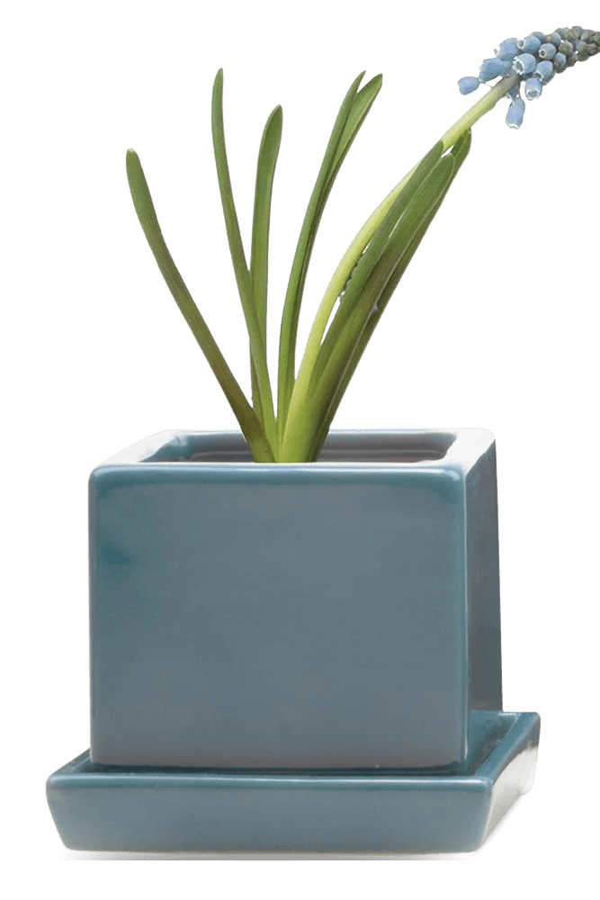 Cube & Saucer Ceramic Pot With Drainage Hole - Chive US Wholesale