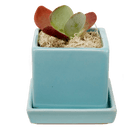 Cube & Saucer Ceramic Pot With Drainage Hole - Chive US Wholesale
