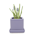 Cube & Saucer Ceramic Pot With Drainage Hole - Chive US Wholesale