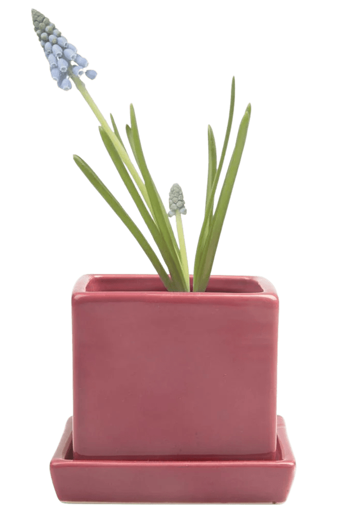 Cube & Saucer Ceramic Pot With Drainage Hole - Chive US Wholesale