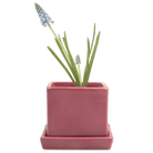 Cube & Saucer Ceramic Pot With Drainage Hole - Chive US Wholesale