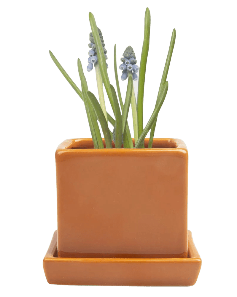 Cube & Saucer Ceramic Pot With Drainage Hole - Chive US Wholesale