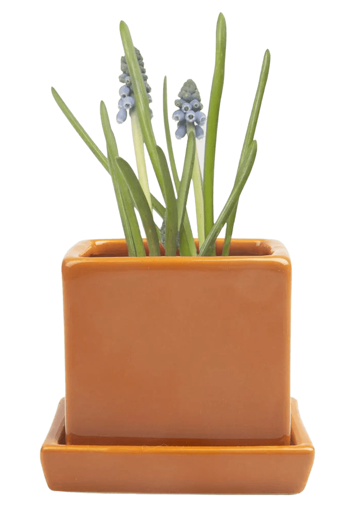 Cube & Saucer Ceramic Pot With Drainage Hole - Chive US Wholesale
