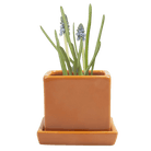 Cube & Saucer Ceramic Pot With Drainage Hole - Chive US Wholesale