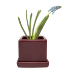 Cube & Saucer Ceramic Pot With Drainage Hole - Chive US Wholesale