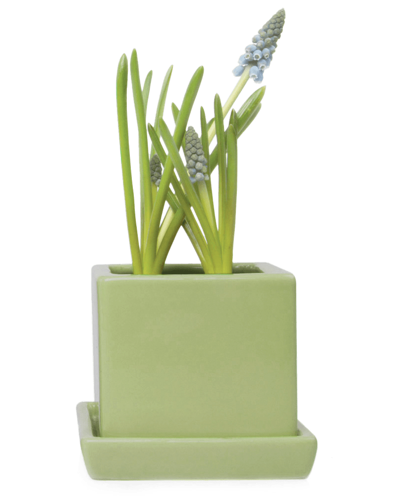 Cube & Saucer Ceramic Pot With Drainage Hole - Chive US Wholesale