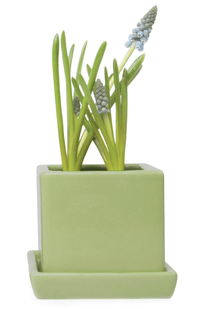 Cube & Saucer Ceramic Pot With Drainage Hole - Chive US Wholesale