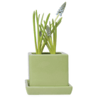 Cube & Saucer Ceramic Pot With Drainage Hole - Chive US Wholesale