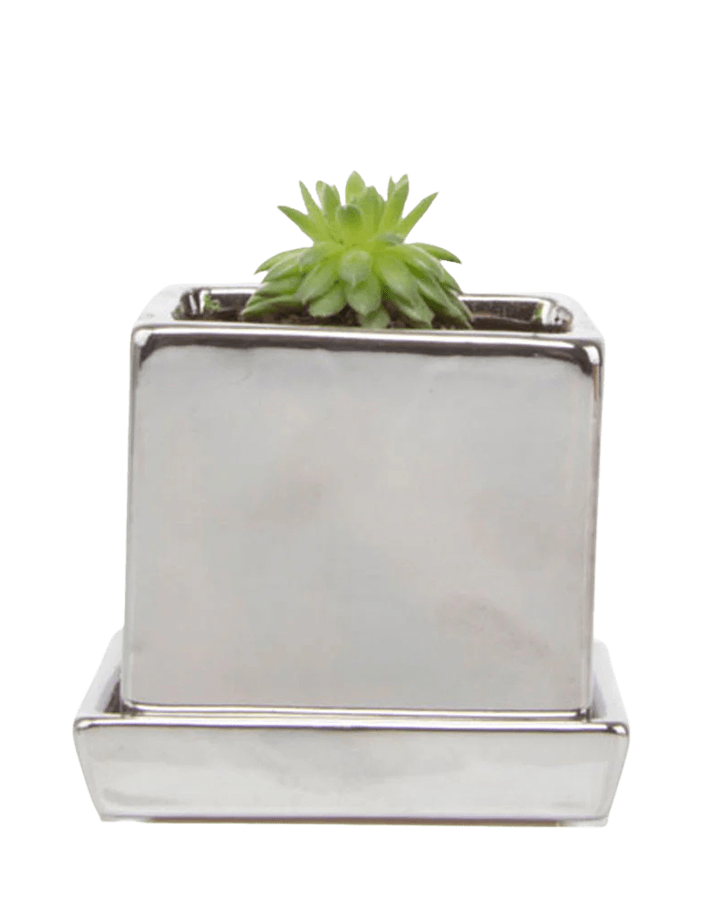 Cube & Saucer Ceramic Pot With Drainage Hole - Chive US Wholesale