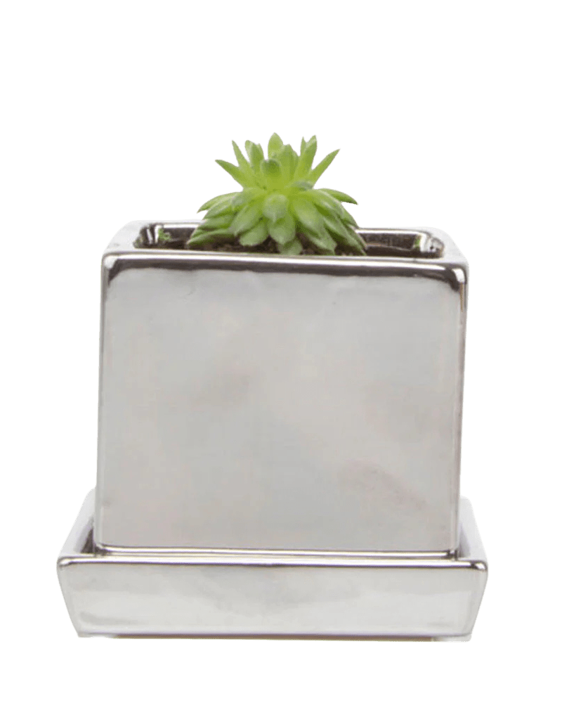Cube & Saucer Ceramic Pot With Drainage Hole - Chive US Wholesale