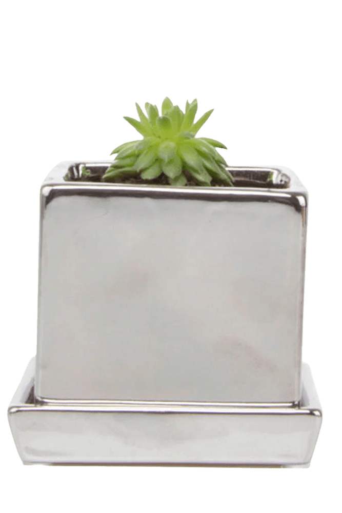 Cube & Saucer Ceramic Pot With Drainage Hole - Chive US Wholesale