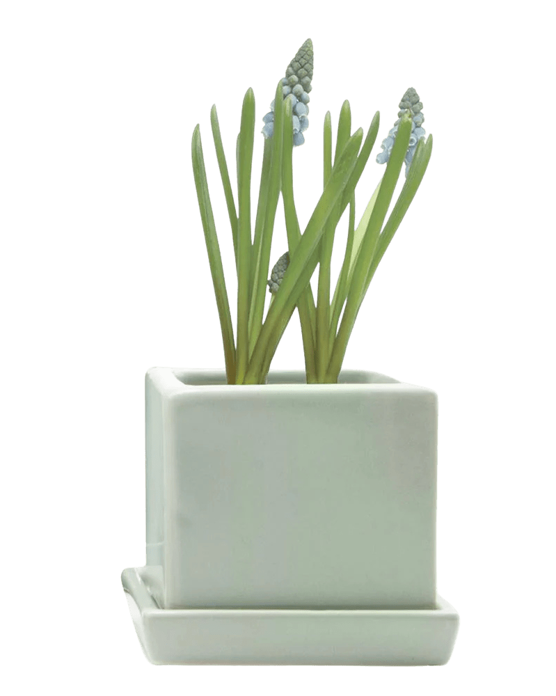 Cube & Saucer Ceramic Pot With Drainage Hole - Chive US Wholesale