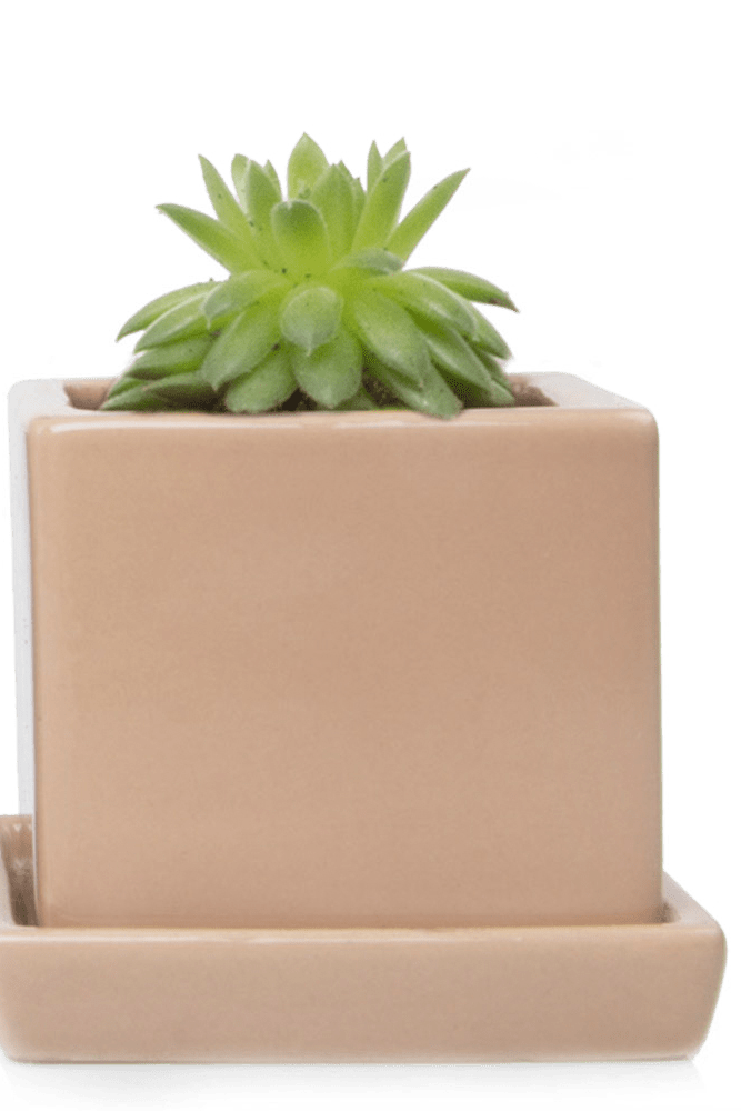 Cube & Saucer Ceramic Pot With Drainage Hole - Chive US Wholesale
