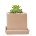 Cube & Saucer Ceramic Pot With Drainage Hole - Chive US Wholesale