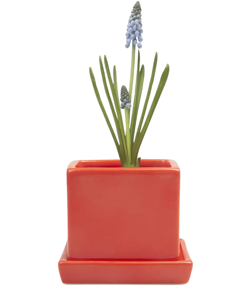 Cube & Saucer Ceramic Pot With Drainage Hole - Chive US Wholesale
