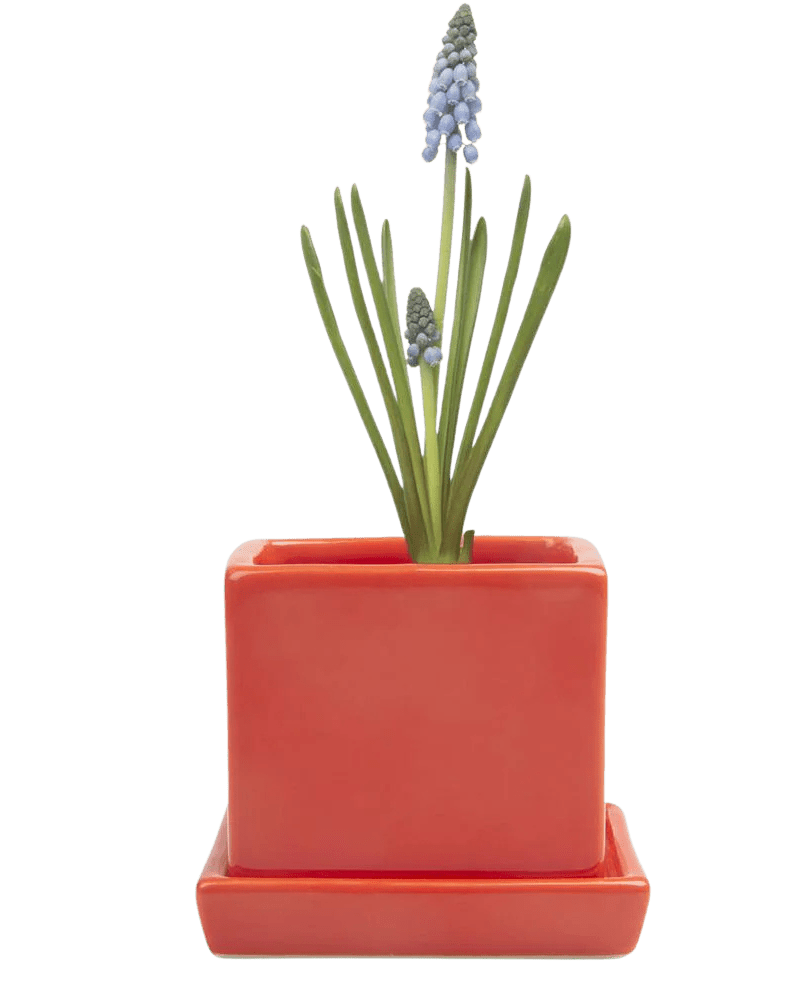 Cube & Saucer Ceramic Pot With Drainage Hole - Chive US Wholesale
