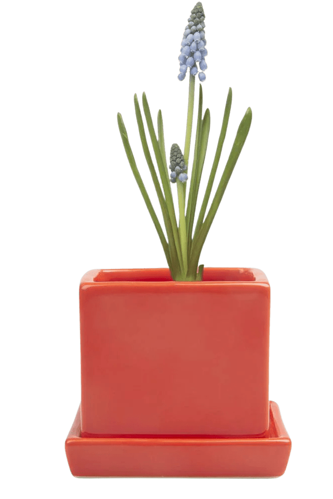 Cube & Saucer Ceramic Pot With Drainage Hole - Chive US Wholesale