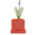 Cube & Saucer Ceramic Pot With Drainage Hole - Chive US Wholesale