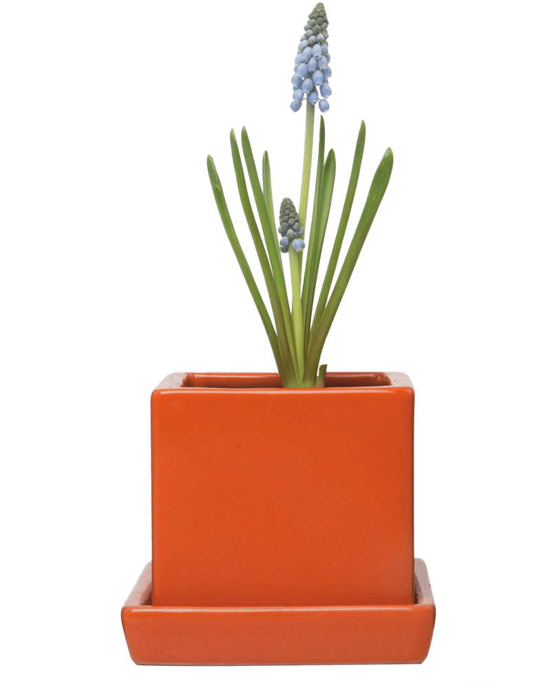 Cube & Saucer Ceramic Pot With Drainage Hole - Chive US Wholesale