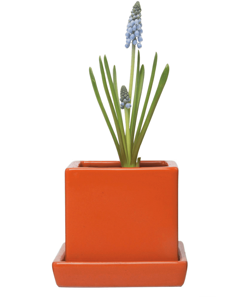 Cube & Saucer Ceramic Pot With Drainage Hole - Chive US Wholesale