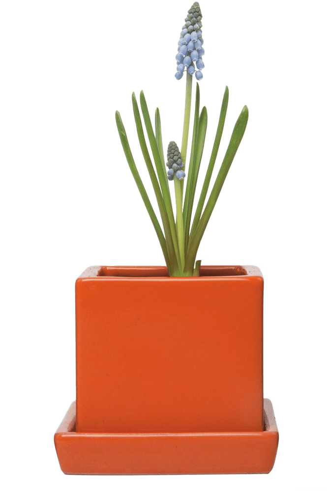 Cube & Saucer Ceramic Pot With Drainage Hole - Chive US Wholesale
