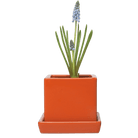 Cube & Saucer Ceramic Pot With Drainage Hole - Chive US Wholesale