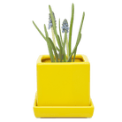 Cube & Saucer Ceramic Pot With Drainage Hole - Chive US Wholesale