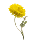 Fake Life Like Artificial Flowers - Chive US Wholesale