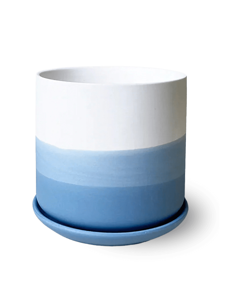 Devo Porcelain Planter With Drainage Hole And Saucer - Chive US Wholesale