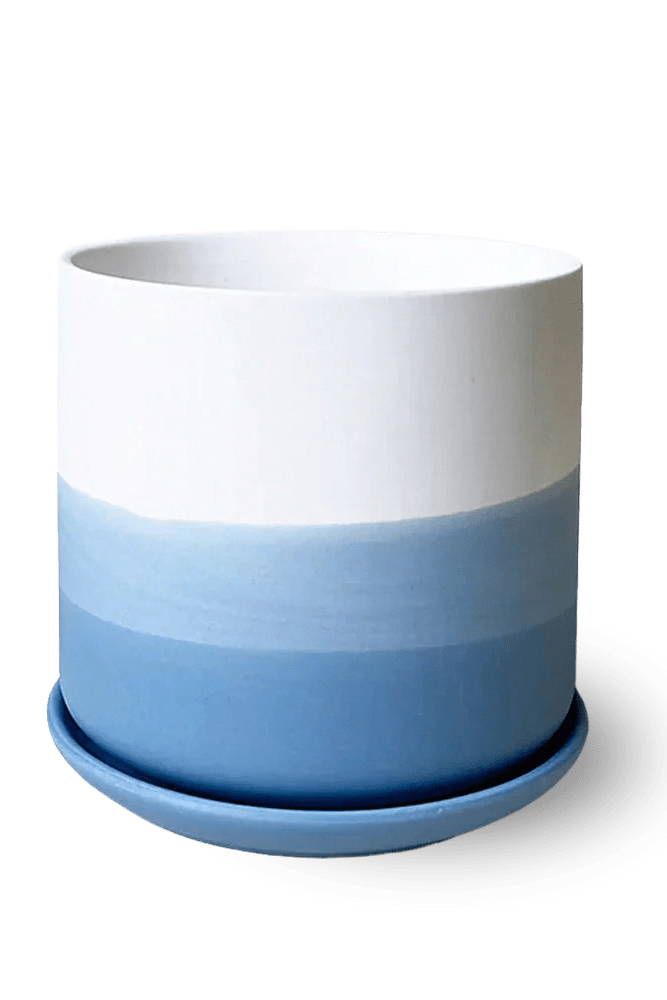 Devo Porcelain Planter With Drainage Hole And Saucer - Chive US Wholesale